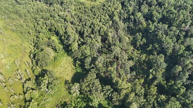 DJI_20250722102959_0247_D