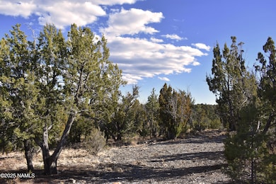 4367 Sunset Ridge Loop, Happy Jack, AZ 86024 - photo 7