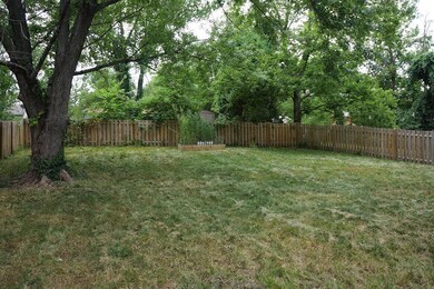 Backyard 2