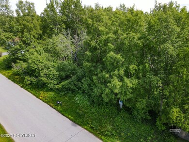6-web-or-mls-NAN Jade St-6