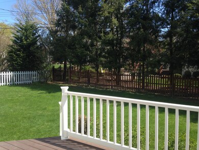 16 sunny backyard 2