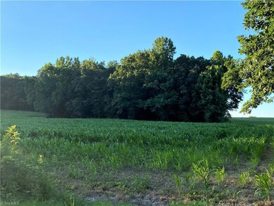 0 Ether Rd, Star, NC 27356 - photo 4