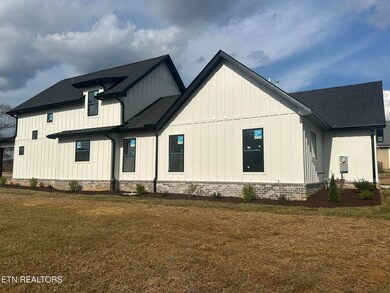 263 Wildcat Run Dr, Loudon, TN 37774 - photo 4