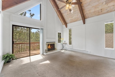 Living Room - High Vaulted Ceiling. Patio with vie
