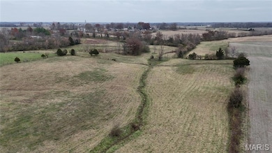 000 Celeste Estates Dr, Waterloo, IL 62298 - photo 6