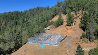 Greenhouse on Large Flat