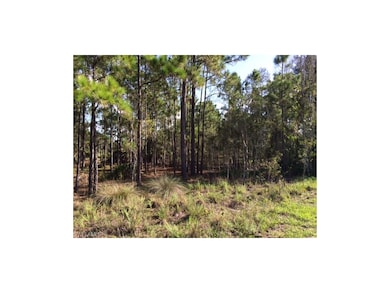 435 Browstone St, Lehigh Acres, FL 33974 - photo 4