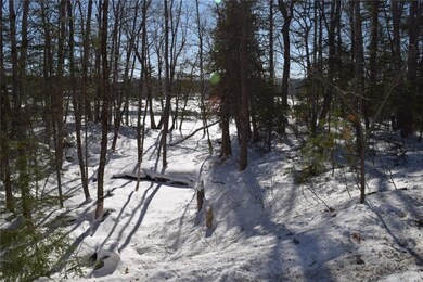 Brook and Northern Property Line