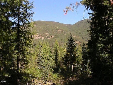 View east across conservation easement