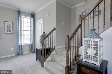 163 Schramm Loop, Stephens City, VA 22655 - photo 2