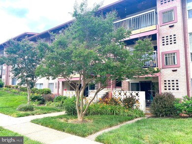 206 Park Terrace Ct SE unit 37, Vienna, VA 22180 - photo 4