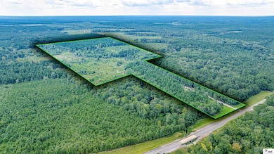 2350 Highway 499, Sikes, LA 71473 - photo 2