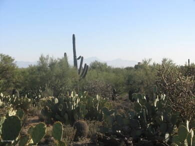 See Mt. Wrightson 30 miles to the south!
