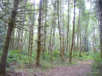 0 Old Rainier Rd unit 778029075, Rainier, OR 97048 - photo 5