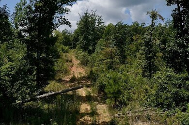 0 Mouse Tail Rd, Parsons, TN 38363 - photo 7