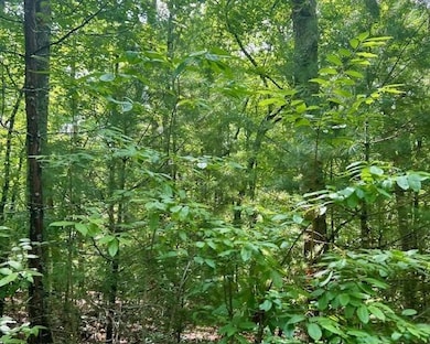 0 Hillbilly Holler unit 7429512, Blue Ridge, GA 30513 - photo 7