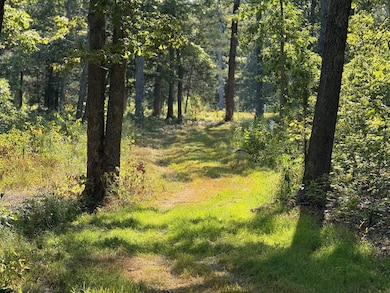 22019 State Highway K, Falcon, MO 65470 - photo 6