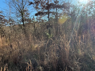 0 Polk County Road 14, Hatten, AR 00000 - photo 2