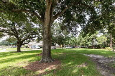 7903 Antoine Dr, Houston, TX 77088 - photo 3