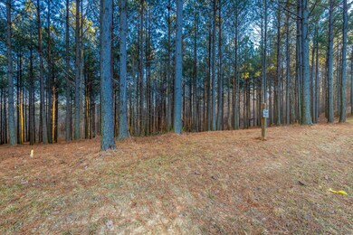 Compass Drive Lot 227A HD-10