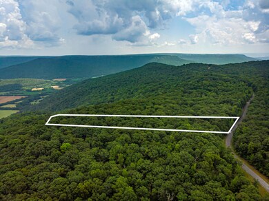 00 Jackson Point Rd, Sewanee, TN 37380 - photo 5