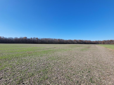 15ac Landing Ln, Goshen Township, OH 45122 - photo 2