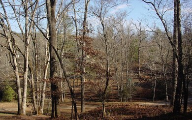 Additional View