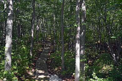 5-106 Lighthouse Rd, Aquinnah, MA 02535 - photo 5