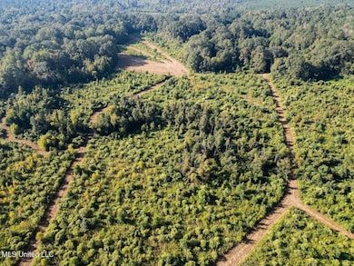 5073 Rollinson Rd, Liberty, MS 39645 - photo 2