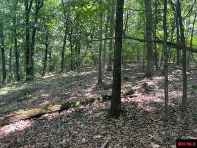 3721 Thousand Oaks Dr, Yellville, AR 72687 - photo 4