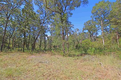 0 Shadeville Rd, Crawfordville, FL 32327 - photo 3