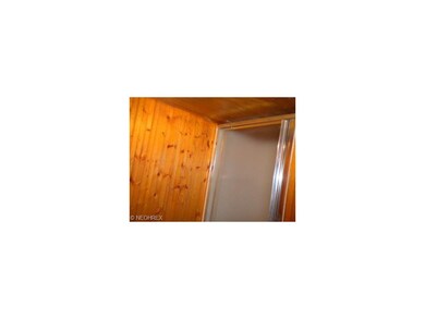 Wood grain on walls in basement