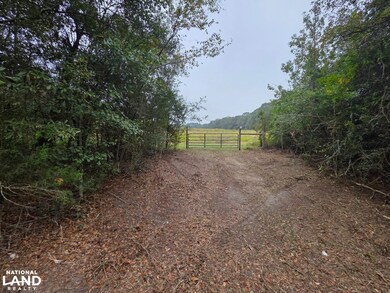 0 Co Rd 10, Samson, AL 36477 - photo 4