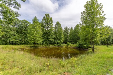 298 Burns Hollow Rd, Waynesboro, TN 38485 - photo 3