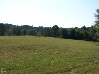 0 County Road 798, Jonesboro, AR 72401 - photo 7