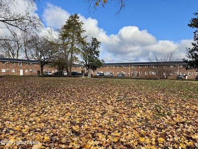 4501 S 6th St unit 48, Louisville, KY 40214 - photo 4