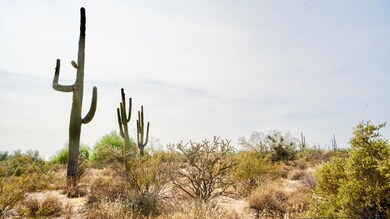 168th Saguaros
