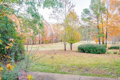 Backyard3