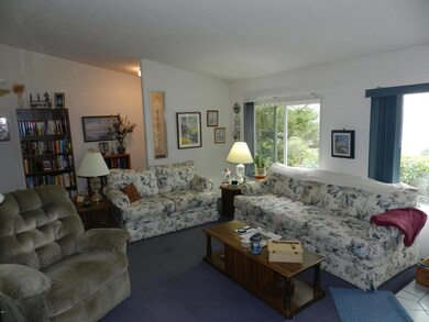 Vaulted Living with lots light