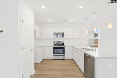 3941 Golden Crane Pass, Lexington, SC 29073 - photo 6