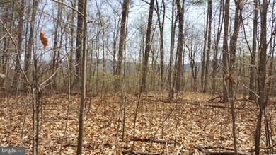 0 Stonewall Jackson Hwy unit 1001864226, Front Royal, VA 22630 - photo 6