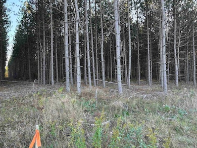 Lot 2 Plantation Rd, Enterprise, WI 54463 - photo 2
