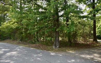 1621 Weeks Rd, Ellijay, GA 30540 - photo 3