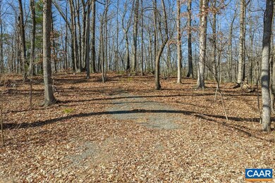 Lot 2 Handley Way unit 2, Afton, VA 22920 - photo 4