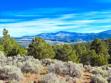 Melcarth Rd, Fort Garland, CO 81133 - photo 3