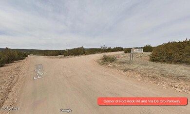 000 Via de Oro -- unit 1332, Seligman, AZ 86337 - photo 6