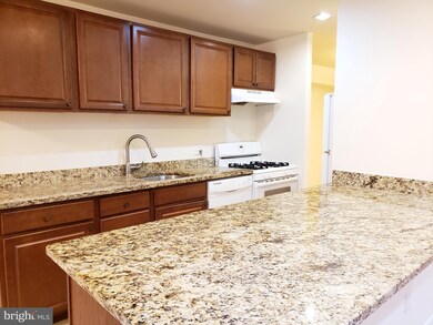 11212 Chestnut Grove Square unit 115, Reston, VA 20190 - photo 7