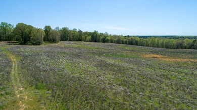 24512 Highway 58, Baskerville, VA 23915 - photo 5