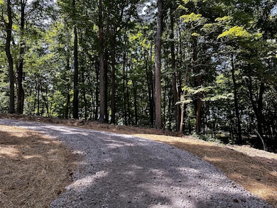 0 Parkinson Rd unit (Tract 8 at Titus), Dexter, OH 45741 - photo 7