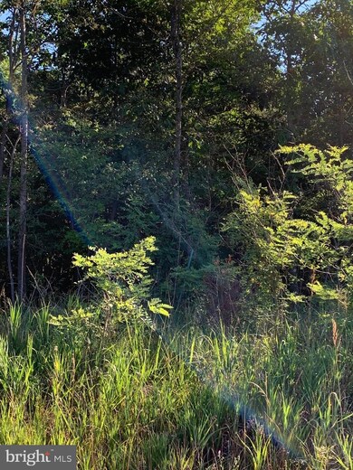 1096 Redland Rd, Cross Junction, VA 22625 - photo 3